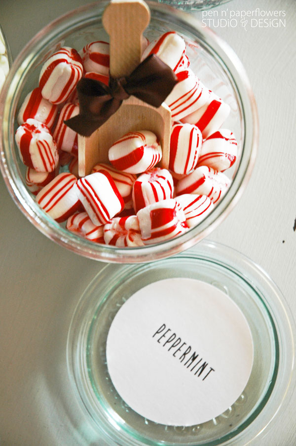 Hot_Chocolate_Peppermint_Topping_0615wm